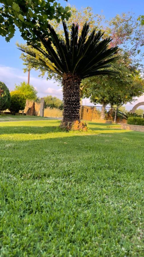 Mama'S Sunshine Garden Villa Agios Ilias  Exterior photo