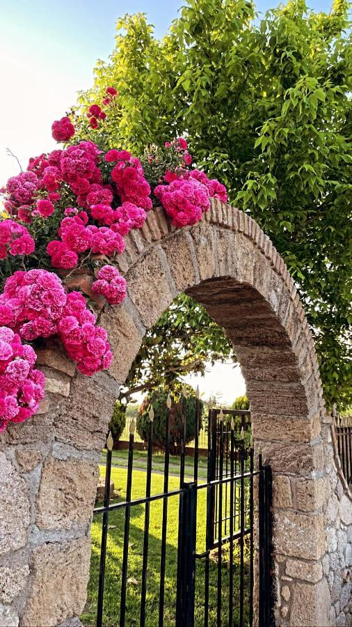 Mama'S Sunshine Garden Villa Agios Ilias  Exterior photo