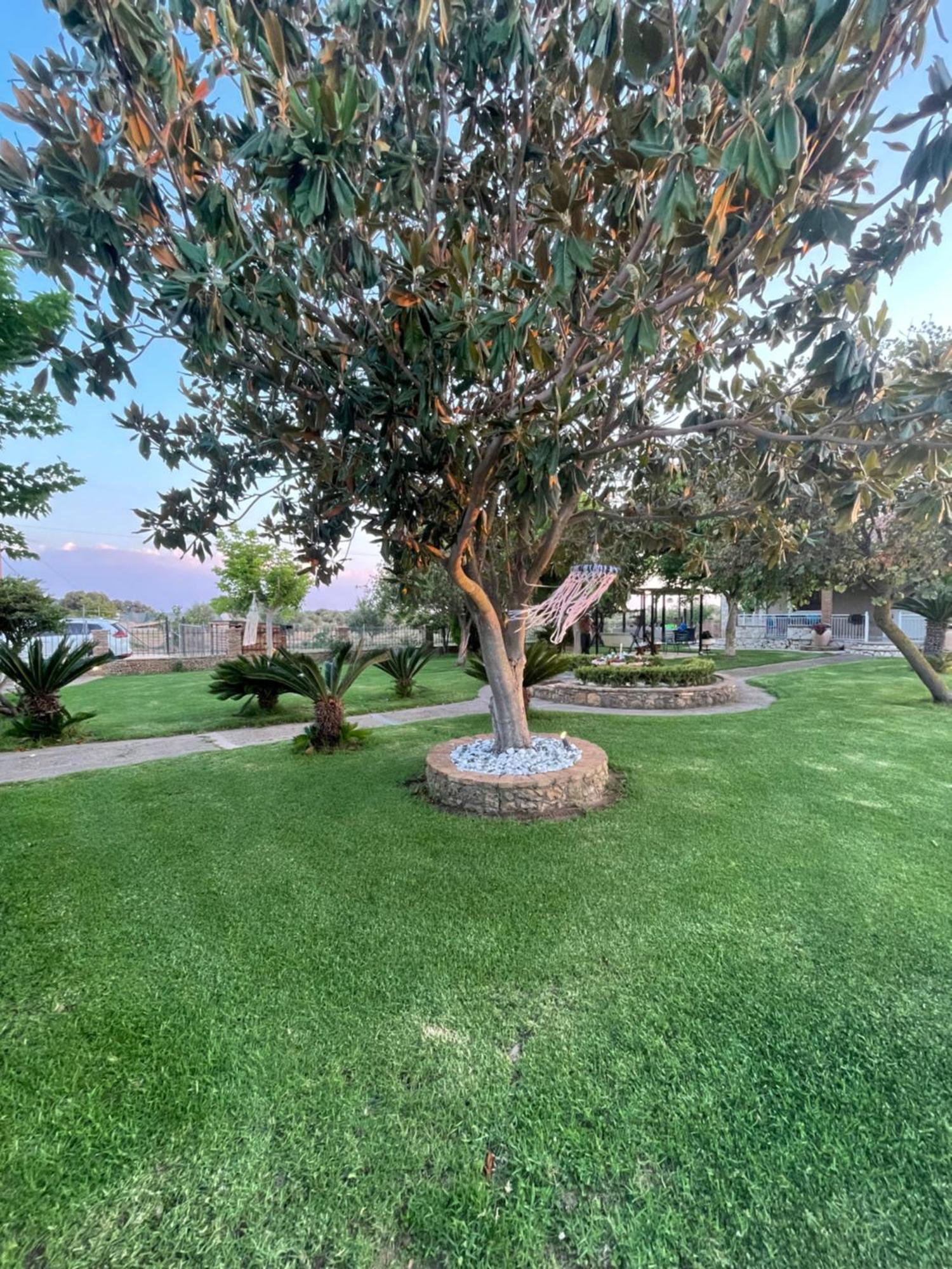 Mama'S Sunshine Garden Villa Agios Ilias  Exterior photo