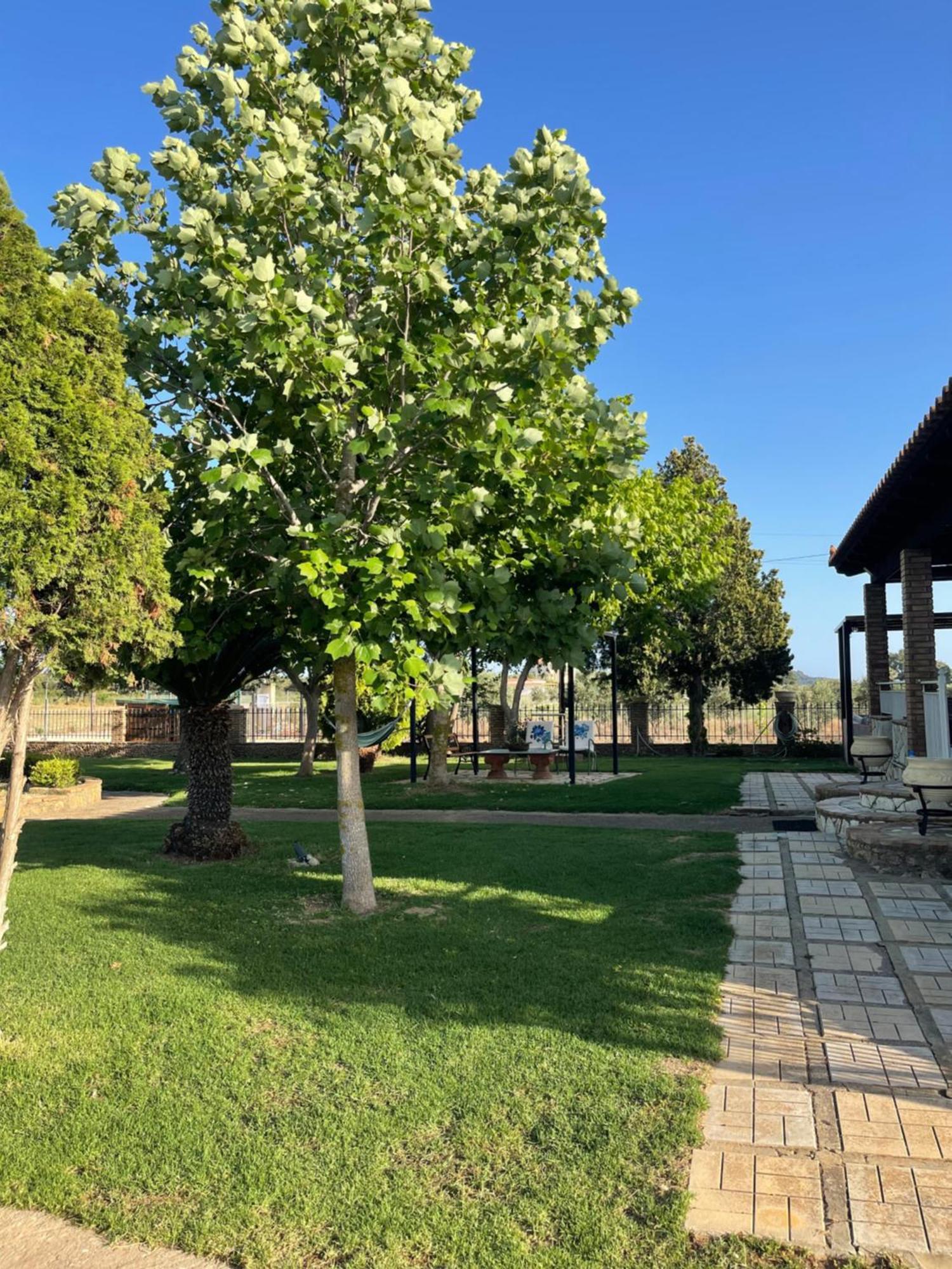 Mama'S Sunshine Garden Villa Agios Ilias  Exterior photo