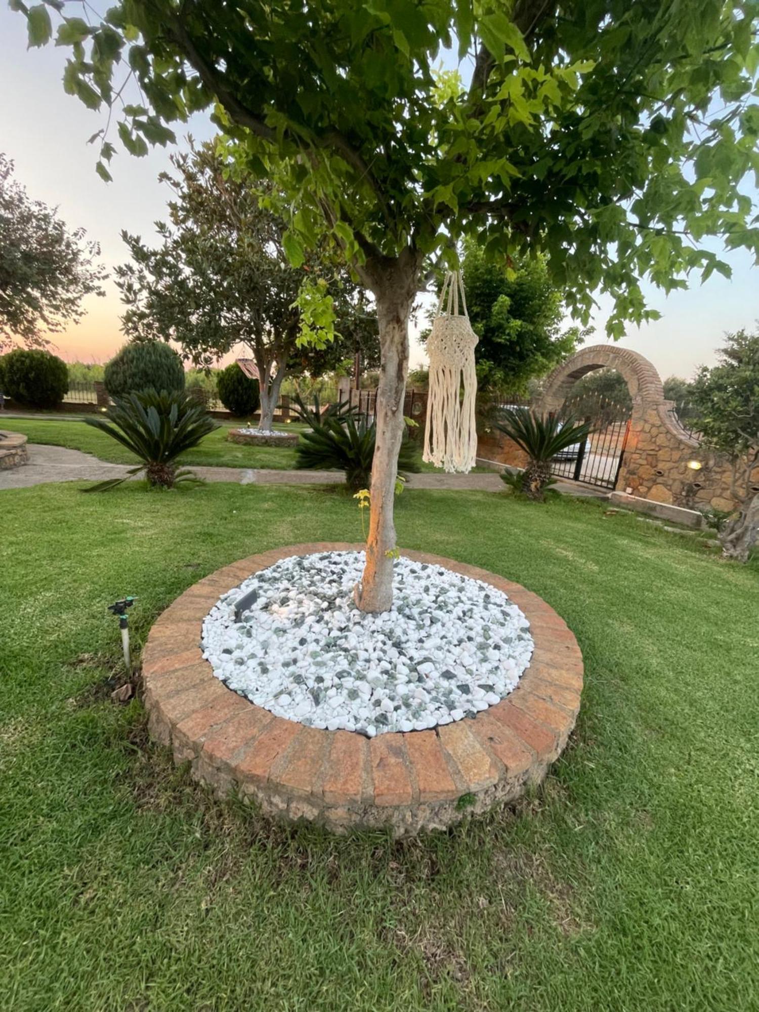 Mama'S Sunshine Garden Villa Agios Ilias  Exterior photo